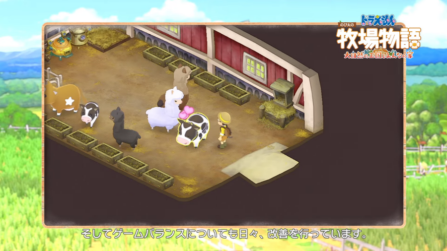 Cows and alpaca live in harmony