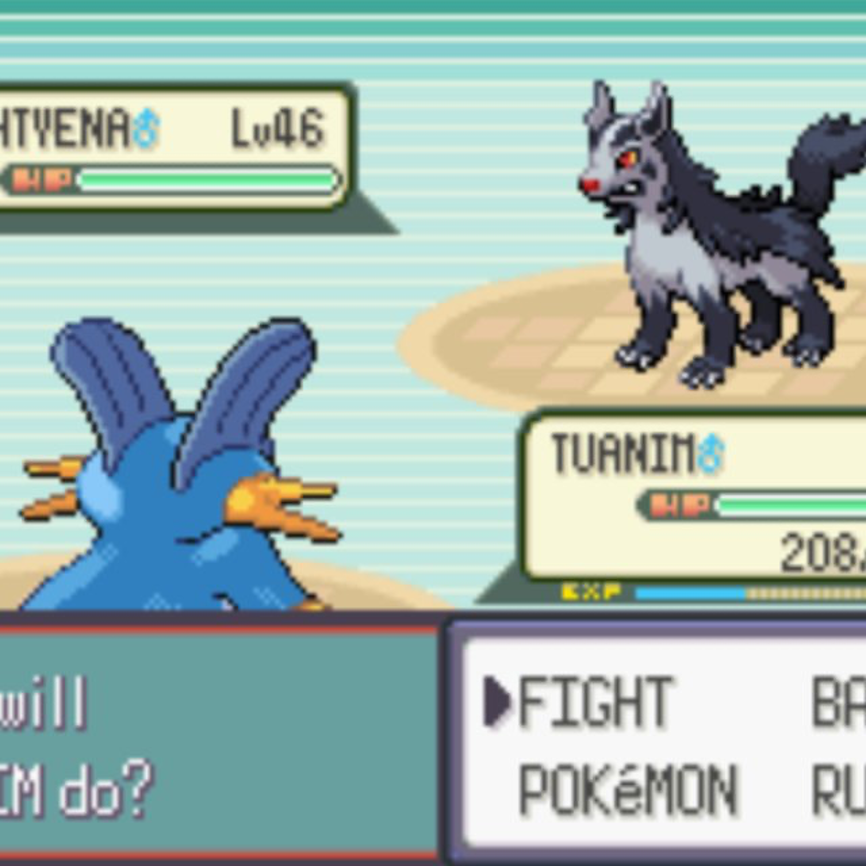 A screenshot of Pokemon Emerald.