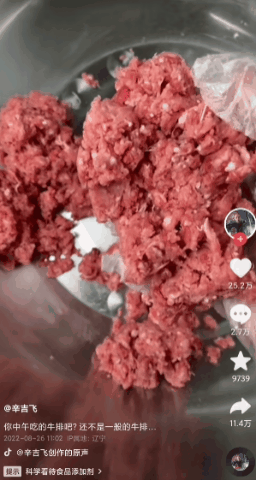 a content creator faking premium steak with cheap ground beef using "Hextech."