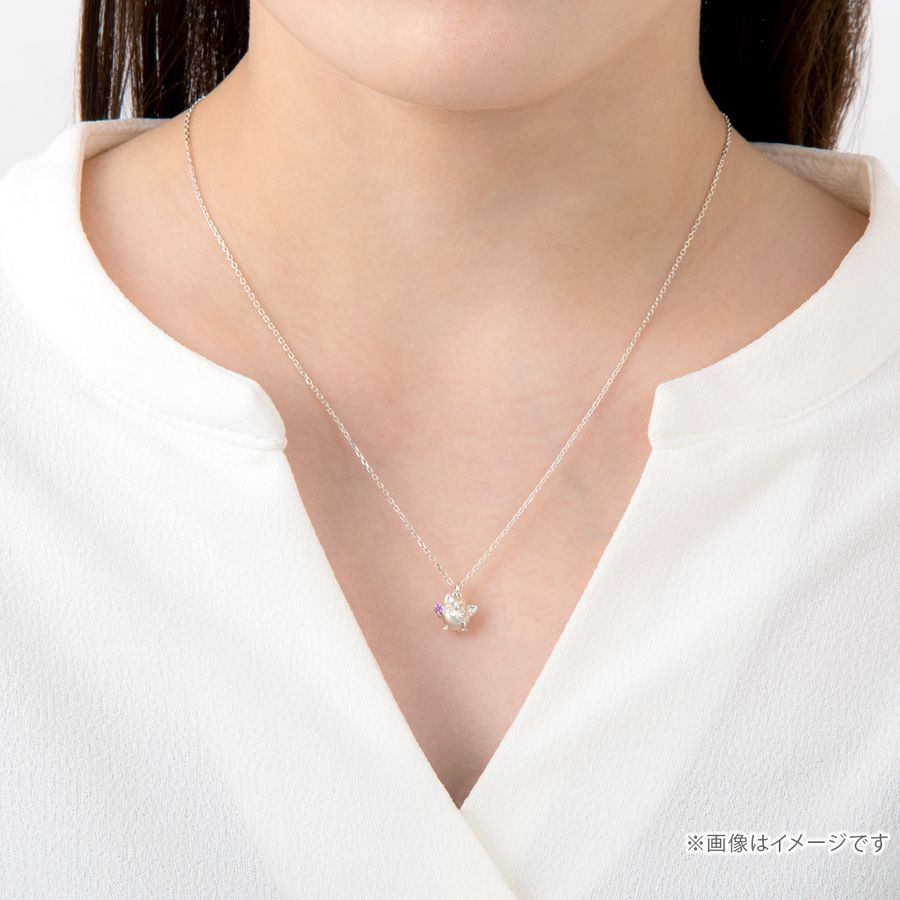 The precious necklace