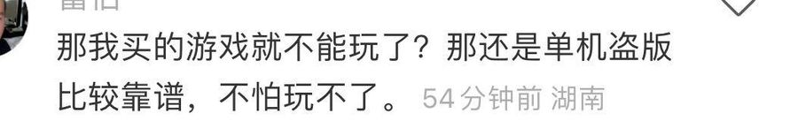 &ldquo;Then I can&rsquo;t play the game I bought? The pirated game is safer. I don&rsquo;t have to worry about this issue.&rdquo;