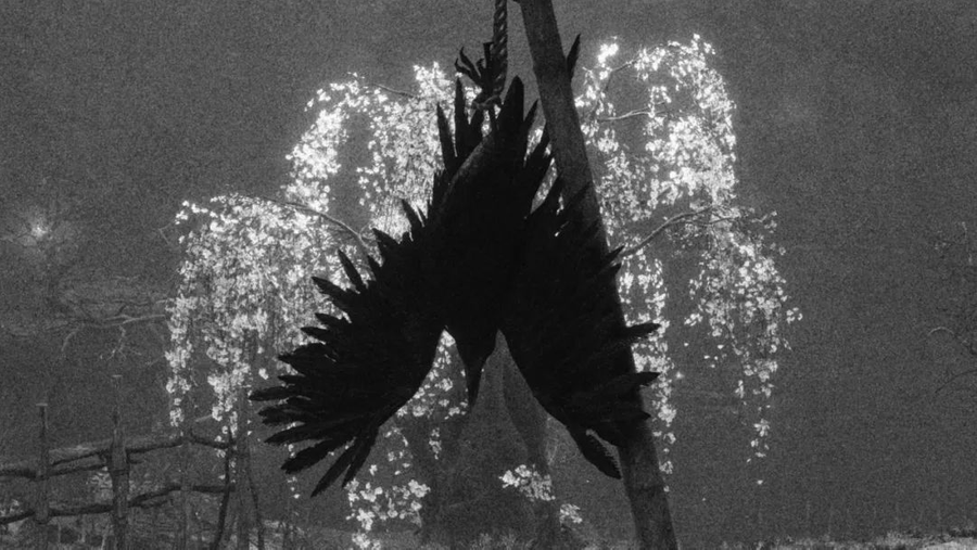 (Deng Jieyu, Ashina)