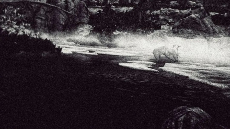 (Above: George Shiras III’s wildlife photography, Below: Lin Boshan, Untitled)