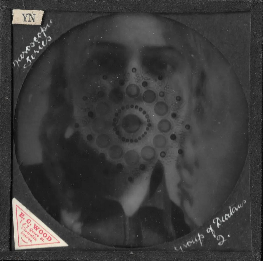 (Deng Jieyu, NPC and Untitled)