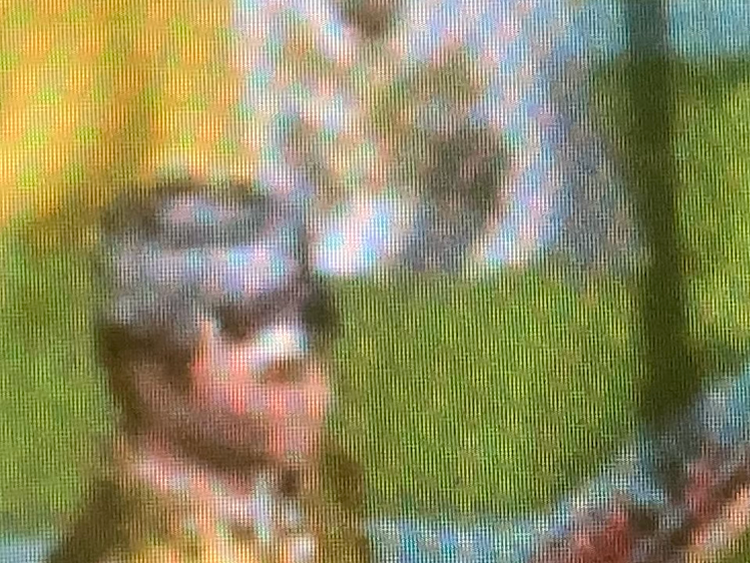 (Lin Boshan, Empires)