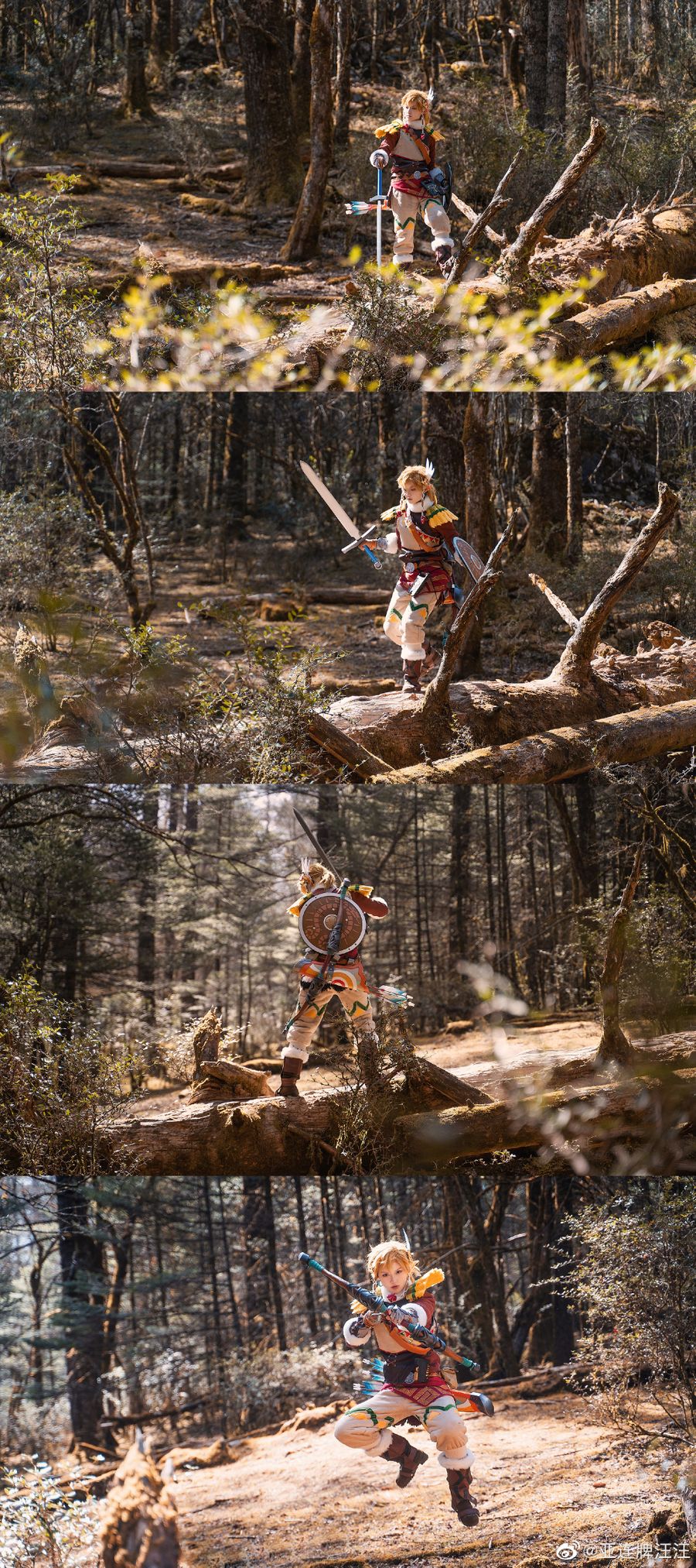 Zelda Cosplay