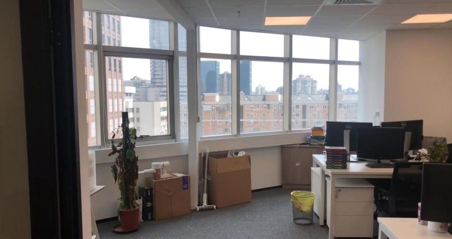 During the quarantine, the plant in the studio died of neglect