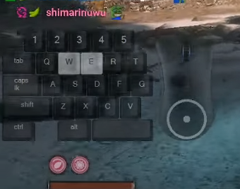 In most speedruns, the button inputs will be recorded as well.