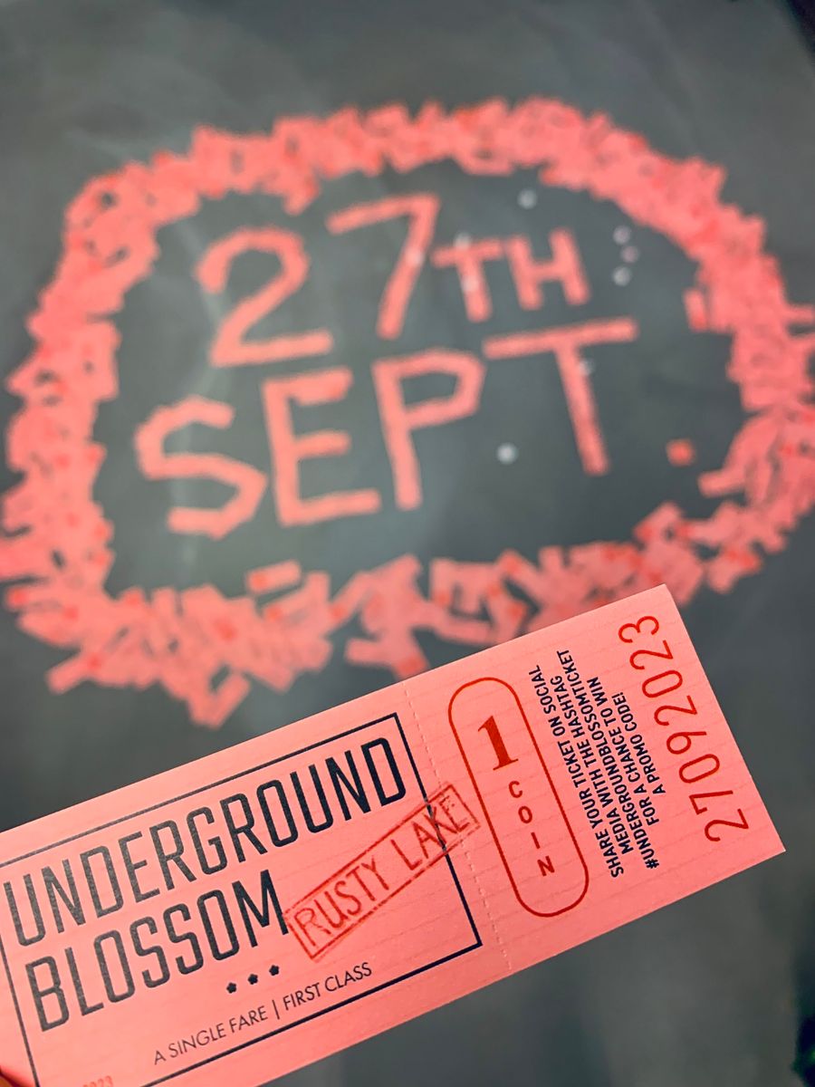 The physical metro ticket Rust Lake issues