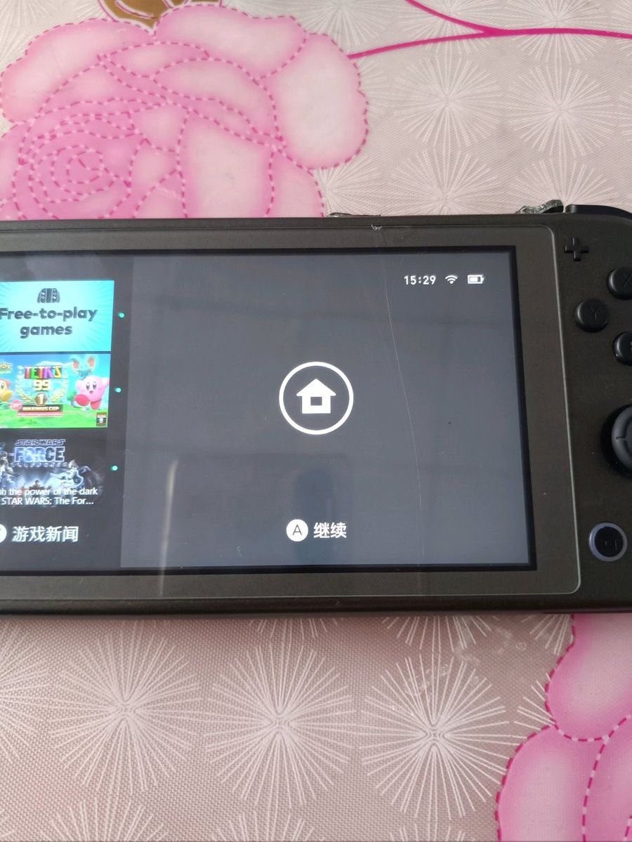 The player was able to run Zelda after the minor incident.