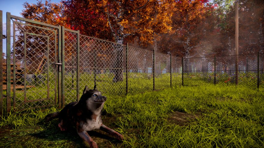 Animal Shelter 2 - Screenshot